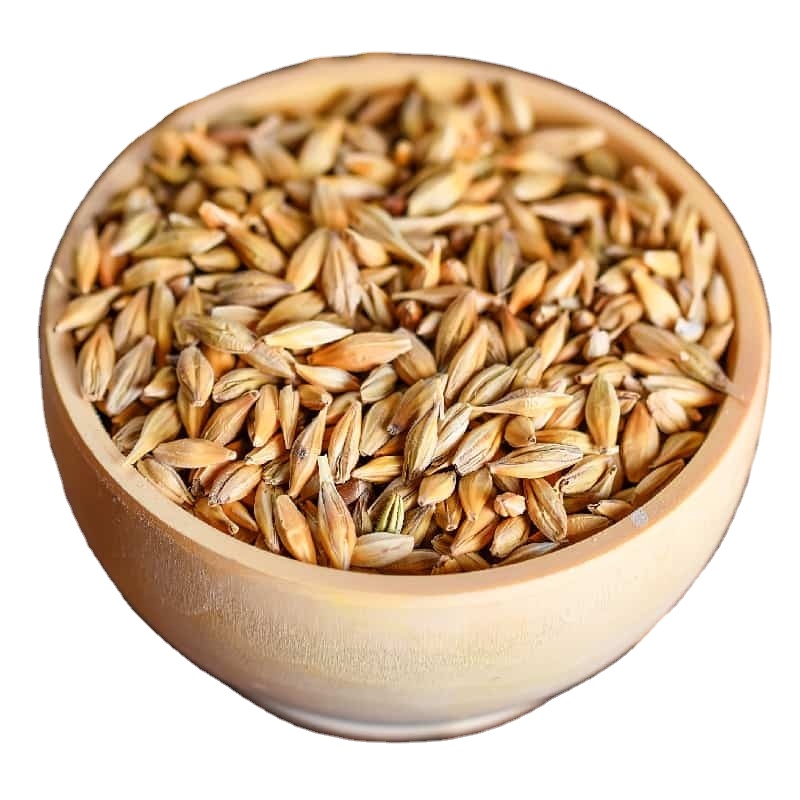 barley russia