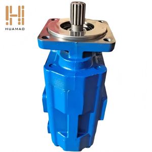 Ensemble de pompe hydraulique à engrenages à double arbre cannelé, marque HUAMAO, origine Shandong, garantie 1 an pour les machines de construction - Product Image 1
