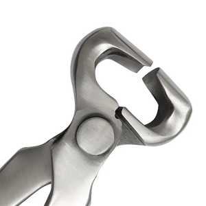 ชุดเครื่องมือช่างตัดแต่งกีบสัตว์ IRON FARRIER TOOLS ระดับมืออาชีพ คุณภาพสูง น้ำหนักเบา หรูหรา พรีเมียม ทำจากสแตนเลส ระบายอากาศได้ดี สำหรับกีบสัตว์ - Product Image 2