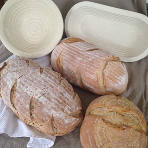 Proofing Basket Supplier Handmade Natural Cane Dough Rising Basket for Sourdough Bread Baking Wholesale Vietnam Manufacturer - Product Image 6