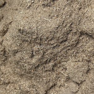 ชานอ้อยสำหรับเป็นอาหารสัตว์การเพาะเห็ดและบรรจุภัณฑ์เพื่อสิ่งแวดล้อม | อุปทานที่เชื่อถือได้ราคาไม่แพง - Product Image 3