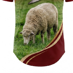Chemise Polo Personnalisée à Queue Longue pour Équipage de Tonte de Moutons, Sublimée, Respirante, Séchage Rapide, Vêtement de Travail Durable, Logo Personnalisé OEM ODM - Product Image 5