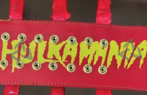 Ceinture de championnat de lutte personnalisée W-W-E H-U-L-K H-O-G-A-N Aigle ailé en laiton 2 mm Taille adulte - Plaques métalliques plaquées or - Product Image 6