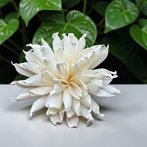 Fleurs artisanales durables en bois de Sola blanc (Spider Mum), taille : 8,5 cm, tige en fibre de plantes de Sésbania de Thaïlande - Product Image 2