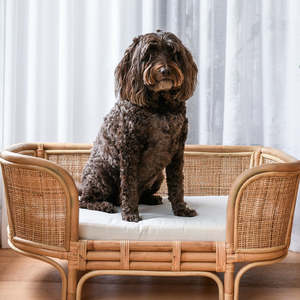 Canapé pour chien en rotin artisanal avec accoudoirs hauts et coussin, lit pour animaux de compagnie en osier, chaise longue pour chat, mobilier d'intérieur pour animaux, décoration de la maison - Product Image 5