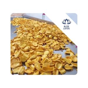 [BEST SELLER] FD Blended Dried Jackfruit Crispy Snack for Trail Mix and Food Manufacturing Vacuum Pack Vietnam - Product Image 1