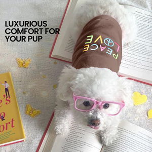 Manufacture Customized Text Pet Clothes Dog <b>T</b> Shirt Cotton Blank Puppy Vest Soft Trendy <b>Cat</b> Apparel Plain Solid Color - Product Image 4