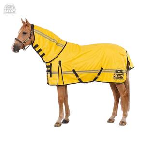 Manta de verano premium para caballo, de tela de poliéster con cinta reflectante, ropa ecuestre - Product Image 1