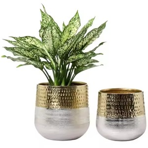 Jardinière en métal créative, pot de fleurs élégant pour l'intérieur et l'extérieur, récipient décoratif pour la maison, le jardin, le balcon - Product Image 1
