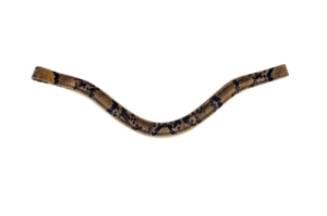 Frontal de Cuero Acolchado con Decoración de Cuero Charol – Elegante Accesorio Curvo para Brida de Caballo para Uso Ecuestre - Product Image 4