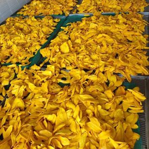 Mangue séchée Premium 2026 la plus vendue, goût moelleux, idéale pour les collations et la pâtisserie, source propre, transformation sûre - Product Image 4