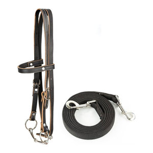 Bridas de Cuero de Alta Calidad para Montar a Caballo, Personalización con Logotipo, Precio Bajo, Más Vendidas - Product Image 1
