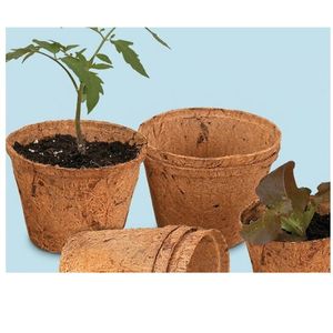 กระถางมะพร้าวยั่มนา (Coco Pots) กระถางปลูกต้นไม้ย่อยสลายได้ทางชีวภาพ ขนาด 2-6 นิ้ว อายุการเก็บรักษา 2 ปี สำหรับทำสวน - Product Image 5