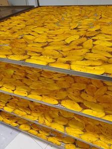 Tranches de mangue séchées Expad, douces, séchées à l'air, sucrées, naturelles, biologiques, faible teneur en sucre (4,99%), emballées sous vide, parfum mangue mûre, lot cadeau en vrac, 0,5 kg - Product Image 1