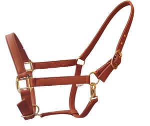 Halter synthétique de qualité supérieure style de piste fait à la main avec Snap résistant à l'eau disponible à bas prix - Product Image 1