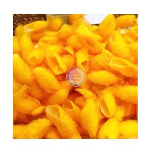 Limpia capullo de seda natural para la fabricación de cosméticos barato al por mayor nutritivo capullo de seda - Product Image 6