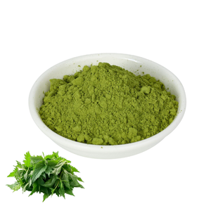 Poudre de feuilles d'ortie de qualité alimentaire en vrac pour smoothies et boissons aux herbes, poudre de feuilles d'ortie 100 % pure favorisant la nutrition quotidienne - Product Image 2