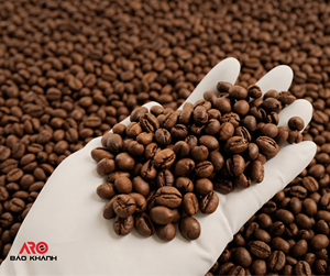 Viet Nam Organic Roasted <b>Robusta</b> <b>Coffee</b> Whole <b>Bean</b> Aro Bao Khanh 0.5kg Premium Strong Fragrance & Bitter Sweet Aftertaste - Product Image 5