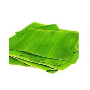 ใบตองสดและแช่แข็งส่งออกจากเวียดนาม - Product Image 2