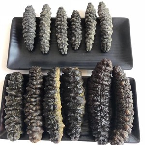 Concombre de mer séché de haute qualité / Produits de la mer déshydratés de qualité supérieure / Lombric de mer séchée entière - Product Image 1