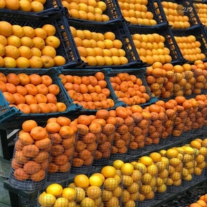 Naranjas Navel Frescas de Primera Calidad, Precio al por Mayor |   Frutas Cítricas Premium para el Mercado Global - Product Image 5