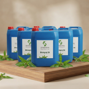 Huile à base de plantes Bhringraj pour la fabrication cosmétique, les formulations capillaires, les produits de beauté, les mélanges de soins personnels et les produits botaniques - Product Image 5