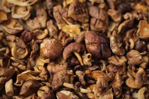 Exportador a Granel de los Mejores Hongos Secos de Vietnam, Naturales y Nutritivos - Product Image 2