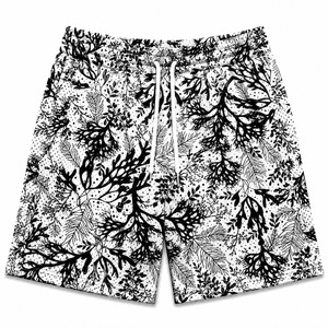 Pantalones Cortos Deportivos Casuales de Punto Premium para Hombre y Mujer, Transpirables, de Alto Rendimiento Atlético, Cintura Elástica, 100% Algodón - Product Image 4