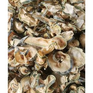 Tranches de melon d'hiver séché de qualité supérieure, tranches de courge naturelle, emballage personnalisé OEM pour collation de melon d'hiver séché - Product Image 5