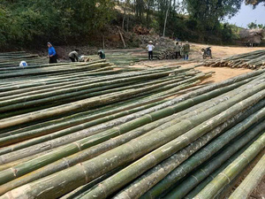 Estacas de material de bambú de alta calidad Postes de bambú tratados Postes de bambú crudos artificiales - Product Image 6