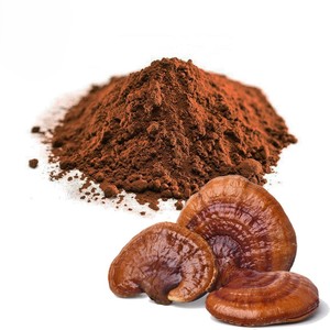 Poudre de champignon Reishi 100% pure, best-seller, qualité alimentaire, naturelle, pour le soutien immunitaire et l'énergie naturelle - Product Image 4