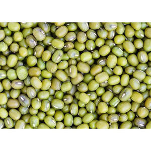 Mung <b>beans</b> price in wholesale green mung <b>beans</b> year green <b>bean</b> - Product Image 4