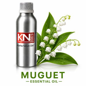 Aceite Esencial de Muguet (Convallaria majalis) 100% Puro, Certificado Orgánico, Venta al Por Mayor, Fabricante, Exportador Global - Product Image 1