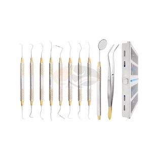JACKBILLY Dental Hygienists Instruments <b>Tool</b> Kit 10 PCs with Sterilization Cassette Professional Prophylaxis <b>Teeth</b> <b>Cleaning</b> Set - Product Image 1