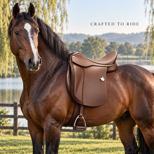 Selle d'équitation anglaise classique marron avec siège sculpté et rabat complet |   Selle d'équitation avec rembourrage et finition soignée - Product Image 2