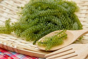 UMIBUDO CAVIAR VERT AU MEILLEUR PRIX ET ALGUES LATO MARINÉES - Product Image 5