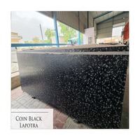 Granite noir Lapotra poli brossé moderne pour usage extérieur et exportation