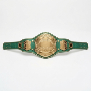 Ceinture de championnat sportive personnalisée, ceinture de récompense pour la lutte et la boxe, plaques métalliques de qualité supérieure, sangle en cuir, logo gravé - Product Image 1