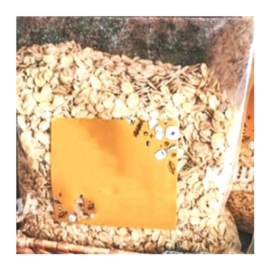 Paquetes de Cereal para Bebés, Desayuno Instantáneo a Granel, Avena y Granos con Sabor, Marca Privada, Dieta Familiar, Avena Integral - Product Image 5