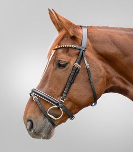 ANNABELLE EQUESTRIAN Brida para Caballo sin Bocado de Cuero Genuino, Accesorios de Equitación Duraderos, Venta al por Mayor Personalizada - Product Image 2