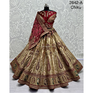 Collections de velours de vêtements de mariée indiens pour la mariée avec le travail de Zarkhan par Fabzone - Product Image 1