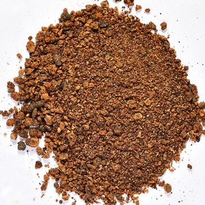 ส่วนผสมอาหารสัตว์ออร์แกนิกจากผงกากเมล็ดฝ้าย สำหรับส่งออกให้กับผู้ค้าส่งระหว่างประเทศและผู้ซื้ออาหารสัตว์ - Product Image 5
