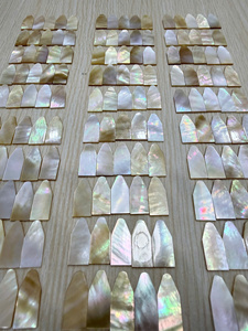 Pièces d'incrustation en nacre polie du Vietnam de qualité supérieure, matériau naturel pour la décoration artisanale, fournisseur d'exportation - Product Image 6