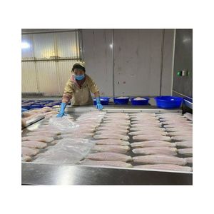 Filet de Pangasius Congelé de Qualité Supérieure 2026 IQF, Purifié et Sûr pour la Consommation, Poisson Basa Frais du Vietnam pour Acheteurs Mondiaux - Product Image 6