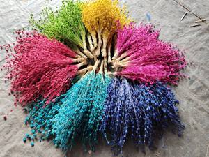 Preserved <b>Dried</b> <b>Gypsophila</b> Flower Stems Colorful Eternal Baby's Breath for Wedding Valentine's Day Home Decor - Product Image 6