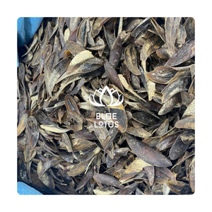 [VENTA CALIENTE] Concha de Operculum de Murex de Blue Lotus Farm, Materia Prima para Incienso, Fijador de Fragancias, Perfumería Artesanal Thanh Hoa - Product Image 6
