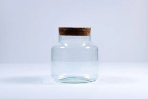 Pot <span class=keywords><strong>en</strong></span> verre pour terrarium de 20 cm avec couvercle <span class=keywords><strong>en</strong></span> liège, récipient hermétique pour terrarium, vase DIY pour terrarium et cadeau naturel d'intérieur - Product Image 4