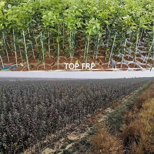 Bâton de jardin en fibre de verre, support pour plantes et arbres, poteau/tiges en FRP - Product Image 3