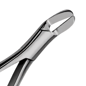 Forceps manuels d'extraction dentaire # 6 séparateurs dentaires supérieurs et inférieurs en acier inoxydable chirurgical, poignée ergonomique, certifiés CE - Product Image 4