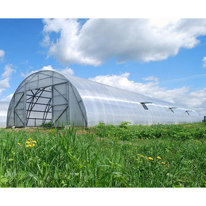 Invernadero Pequeño de Bajo Costo para Agricultura, Estructura Agrícola Compacta para Flores, Hierbas y Vegetales - Product Image 3